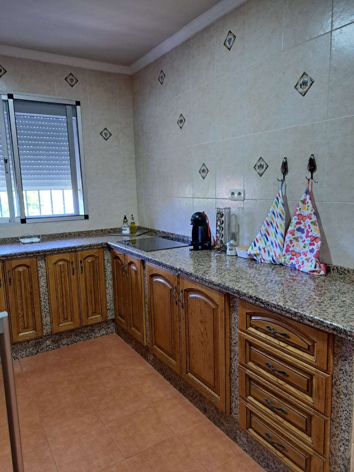 Large estate for sale in Coín, Málaga