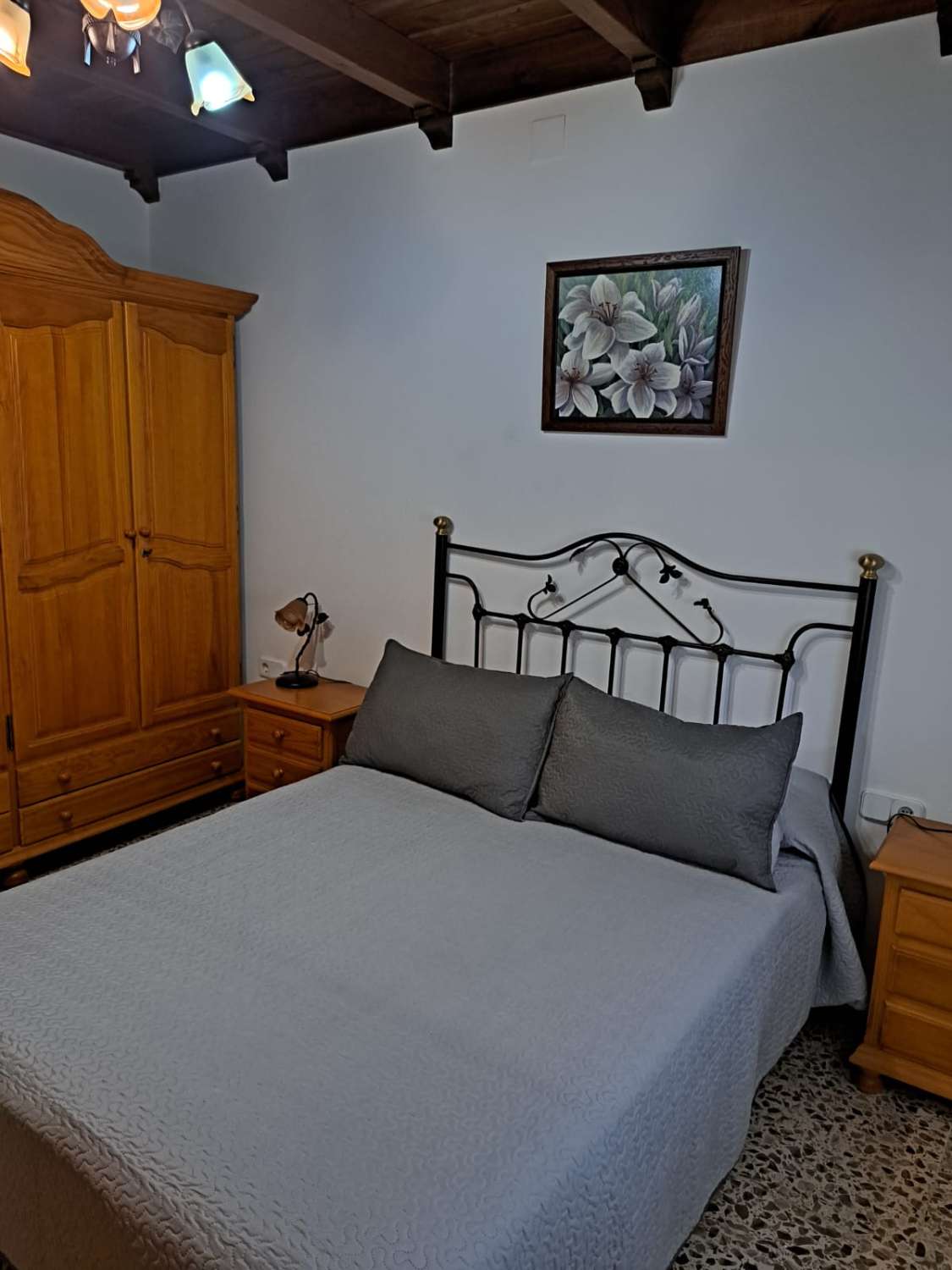 Large estate for sale in Coín, Málaga