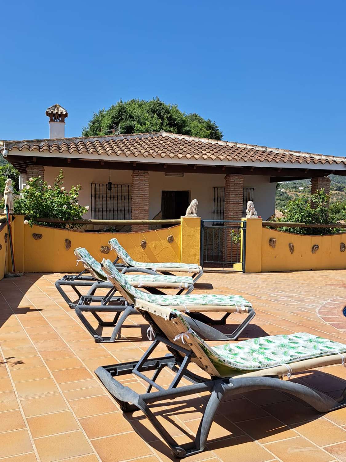 Large estate for sale in Coín, Málaga