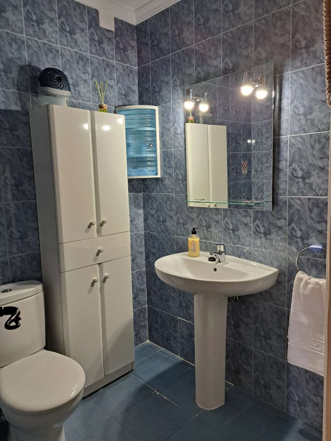 Large estate for sale in Coín, Málaga