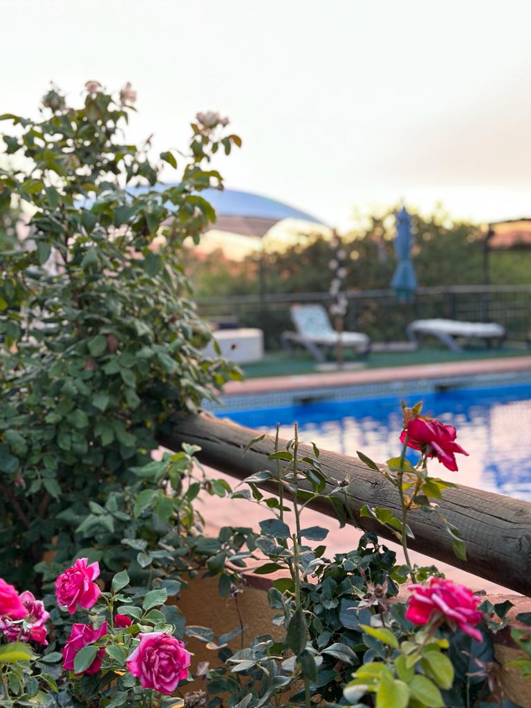 Large estate for sale in Coín, Málaga