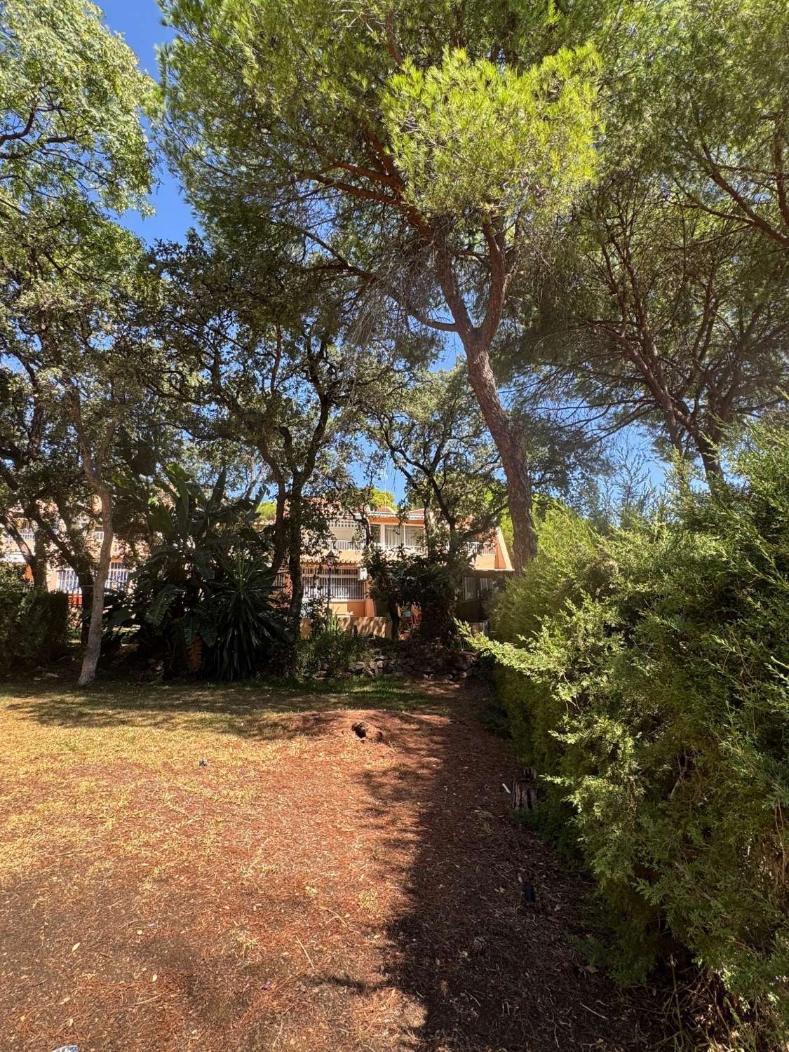 Charmant studio/appartement met 2 slaapkamers in Urb. Seghers, Estepona