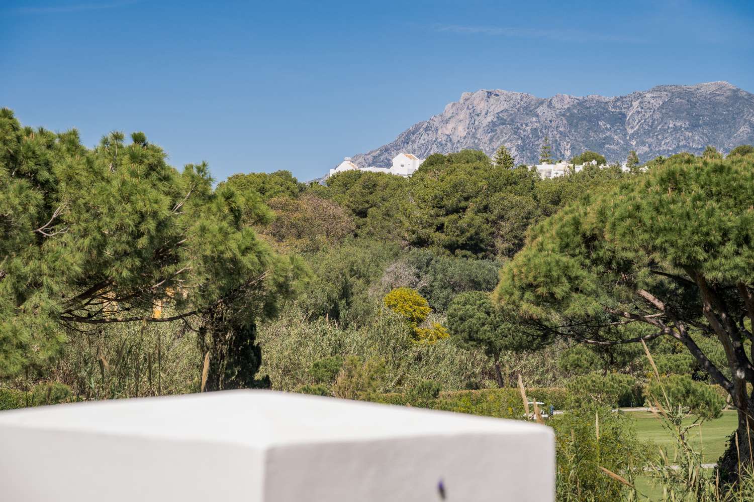 PALM BEACH, LOS MONTEROS MARBELLA