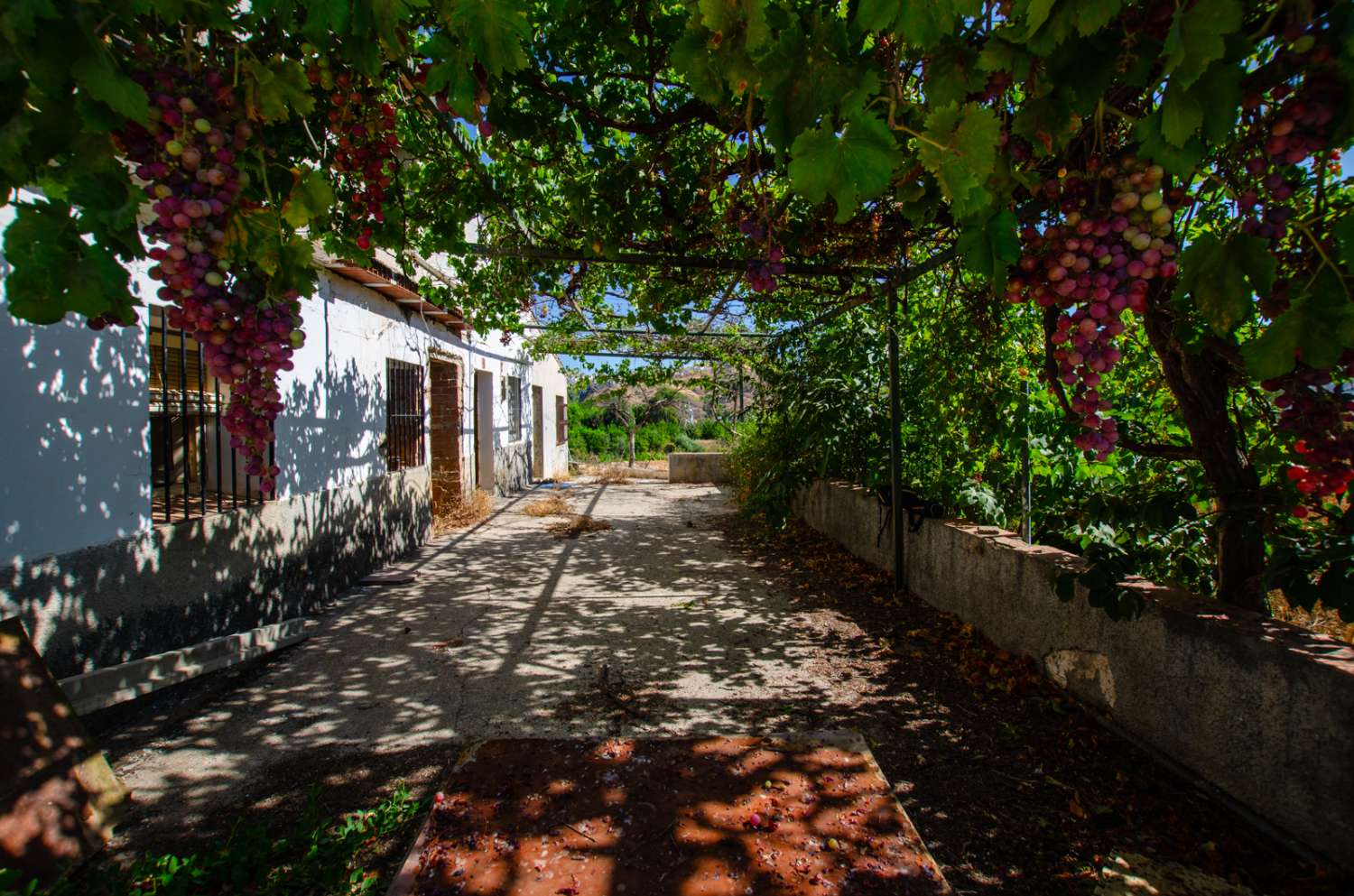 Parcela con vivienda y pozo legalizado en Álora